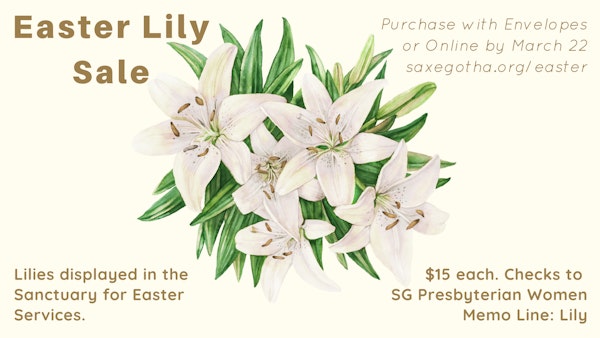 Easter Lily Sale 2023