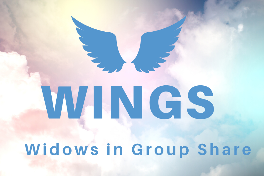 Wings Logo