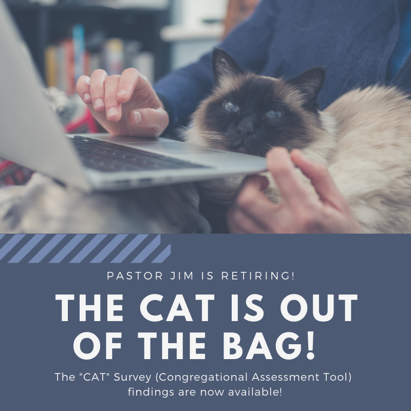 Copy Of Cat Is Out Of The Bag Graphic