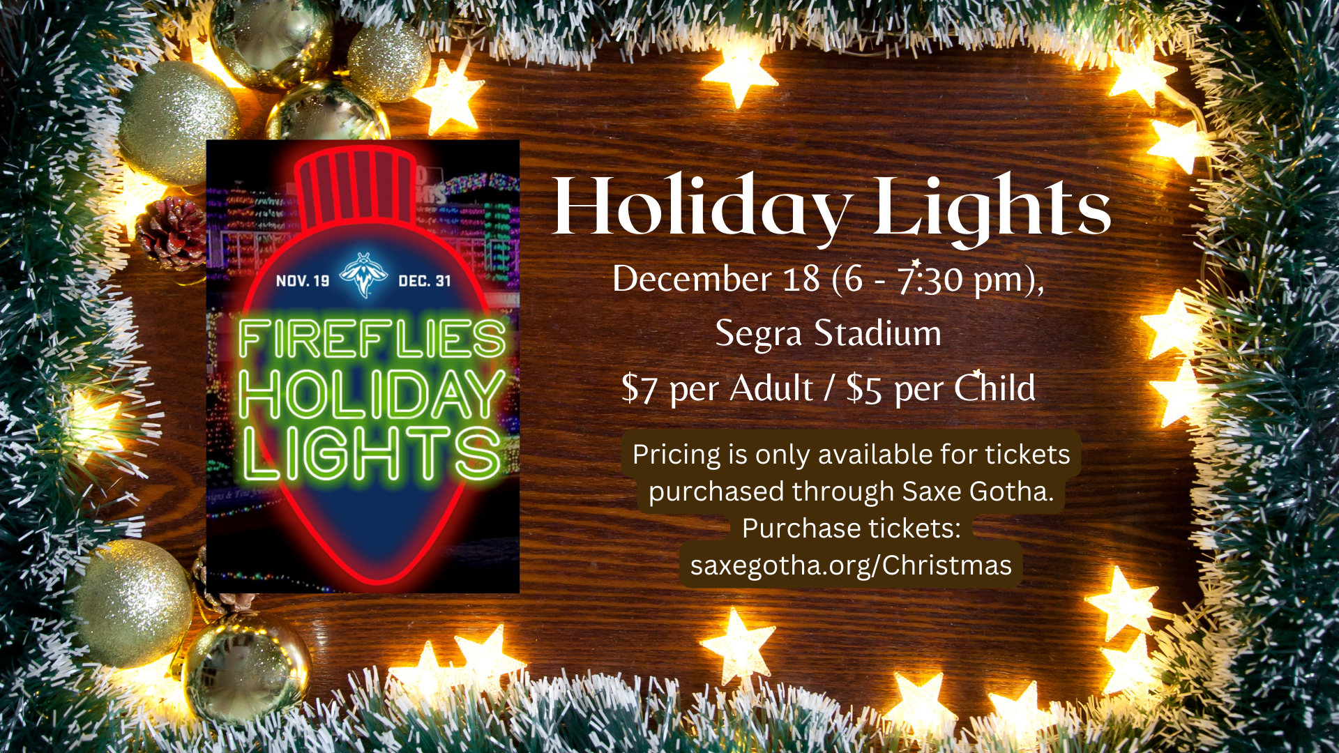 Fireflies Holiday Lights Presentation 169